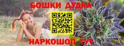 сатива Малгобек