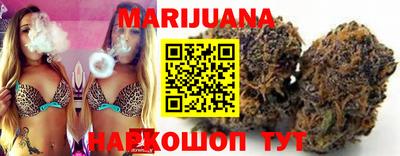 сатива Малгобек